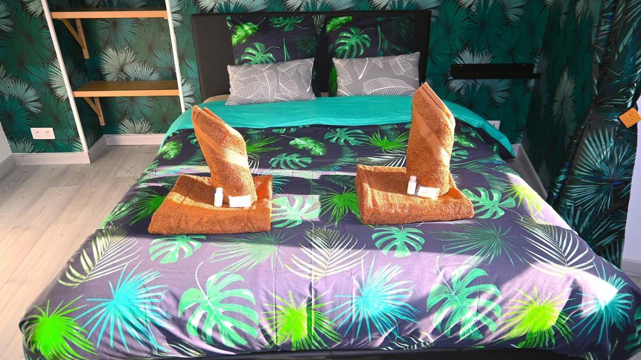 Class&Tropical Appt 10Mn Aeroport Roissy Cdg Apartman Villeneuve-sous-Dammartin Kültér fotó